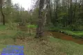 House 88 m² Nalibacki sielski Saviet, Belarus