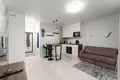Apartamento 1 habitación 30 m² Minsk, Belarús