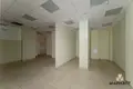 Commercial property 115 m² in Minsk, Belarus