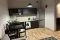 Appartement 2 chambres 30 m² en Cracovie, Pologne