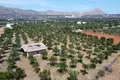 Parcelas  Grecia, Grecia