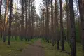 Atterrir  Dzerzinskogo, Russie