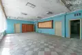 Коммерческое помещение 805 м² Вишнево, Беларусь