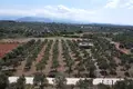 Parcelas  Grecia, Grecia