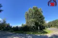 Działki  Rudzienski sielski Saviet, Białoruś