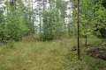 Коттедж  Этеля-Саво, Финляндия