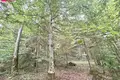 Land  Godenai, Lithuania