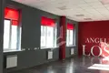 Gewerbefläche 2 zimmer 95 m² in Minsk, Belarus