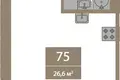 Studio 27 m² Saint-Pétersbourg, Russie