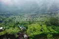 Земельные участки  Кофейная плантация, Индонезия