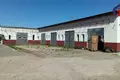 Nieruchomości komercyjne 290 m² w Żodzino, Białoruś