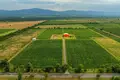Now available for sale! A new wine factory complex in Kakheti, Telavi Municipality, in the village of Napareuli