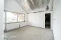 Дом 252 м² Лесковка, Беларусь