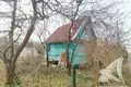 Haus 49 m² Telminski sielski Saviet, Weißrussland