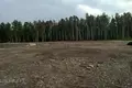 Atterrir 10 000 m² Marupes novads, Lettonie