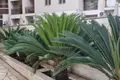 Apartment 28 m² Becici, Montenegro