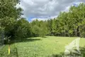 Land  Malyja Radvanicy, Belarus