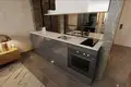 Studio apartment 1 bedroom 44 m² Trikomo, Northern Cyprus
