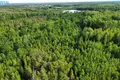 Land  Petrauskai, Lithuania