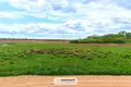Land  Sitniki, Belarus