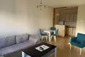 Wohnung 1 Schlafzimmer 462 m² Montenegro, Montenegro