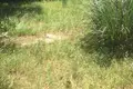 Land 740 m² Canj, Montenegro