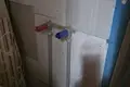 Haus 50 m² Dziamidauka, Belarus