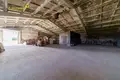 Zakład produkcyjny 1 pokój 500 m² w Lahojsk selsaviet, Białoruś
