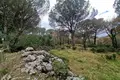 Land 1 150 m² Zagora, Montenegro