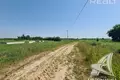 Grundstück  Vielikarycki sielski Saviet, Weißrussland