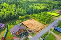 Grundstück  Zdanovicki sielski Saviet, Belarus