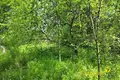 Land  Bialarucki sielski Saviet, Belarus