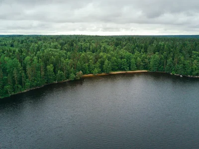 Wieś domków Sosnovyy plyazh