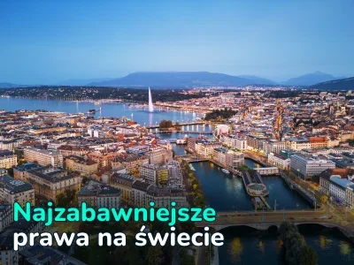 Czy świnię można nazwać Napoleonem? Absurdalne prawa z całego świata, w które trudno uwierzyć