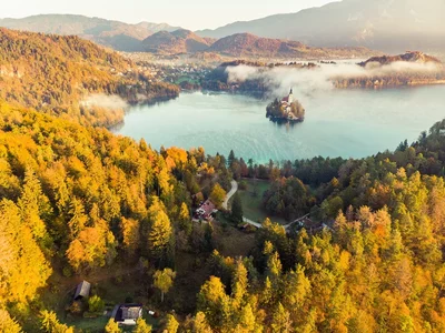 Slovenia simplifies the process of obtaining a residence permit. The reason for this is the same lack of specialists