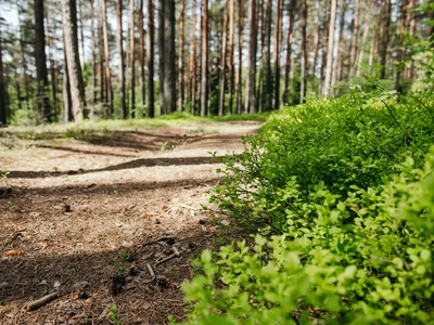 Wieś domków 