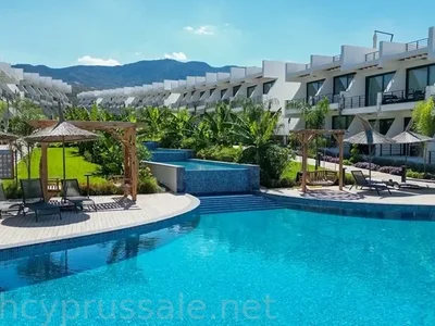 Residential complex Studios in the Pearl Island complex.