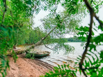 Wieś domków Sosnovyy plyazh