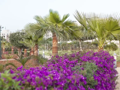 Barrio residencial Thalassa Beach Resort