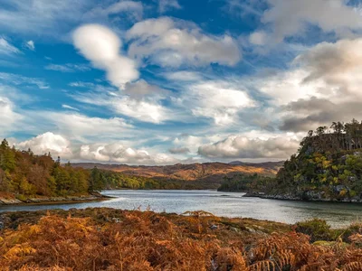 An island in Scotland for the price of a garage in London