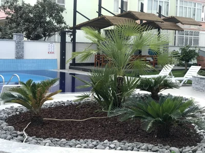 Dzielnica mieszkaniowa Luxurious residential complex just 600 meters from the beach