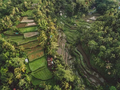 В Индонезии введут «золотые визы» для тех, кто намерен там жить