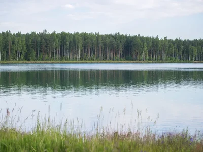 Wieś domków Prilesnyy