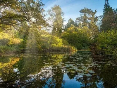Wohngebäude Spacious 2-Bedroom Apartment with Park Views in Sunningdale, Berkshire