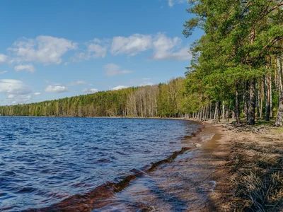 Wieś domków Tish da Glad