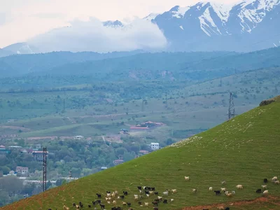 В двух регионах Узбекистана пресечены попытки незаконной продажи земли