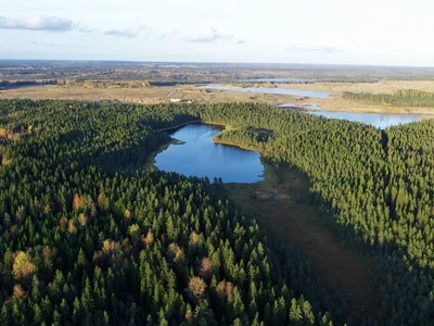 Wieś domków Lintulovo