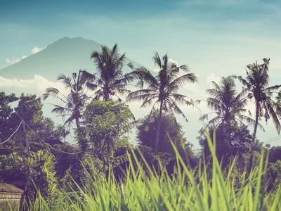 Как жить на Бали 10 лет и не платить налоги? В Индонезии появилась новая виза