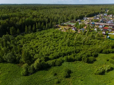 Wieś domków Korkinskij Rucej