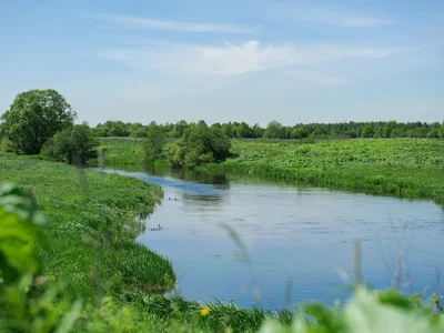 Hüttendorf Lyubimovo